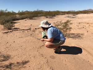 Julie Bethany Rakes searches the soil for signs of cyanobacteria attack
