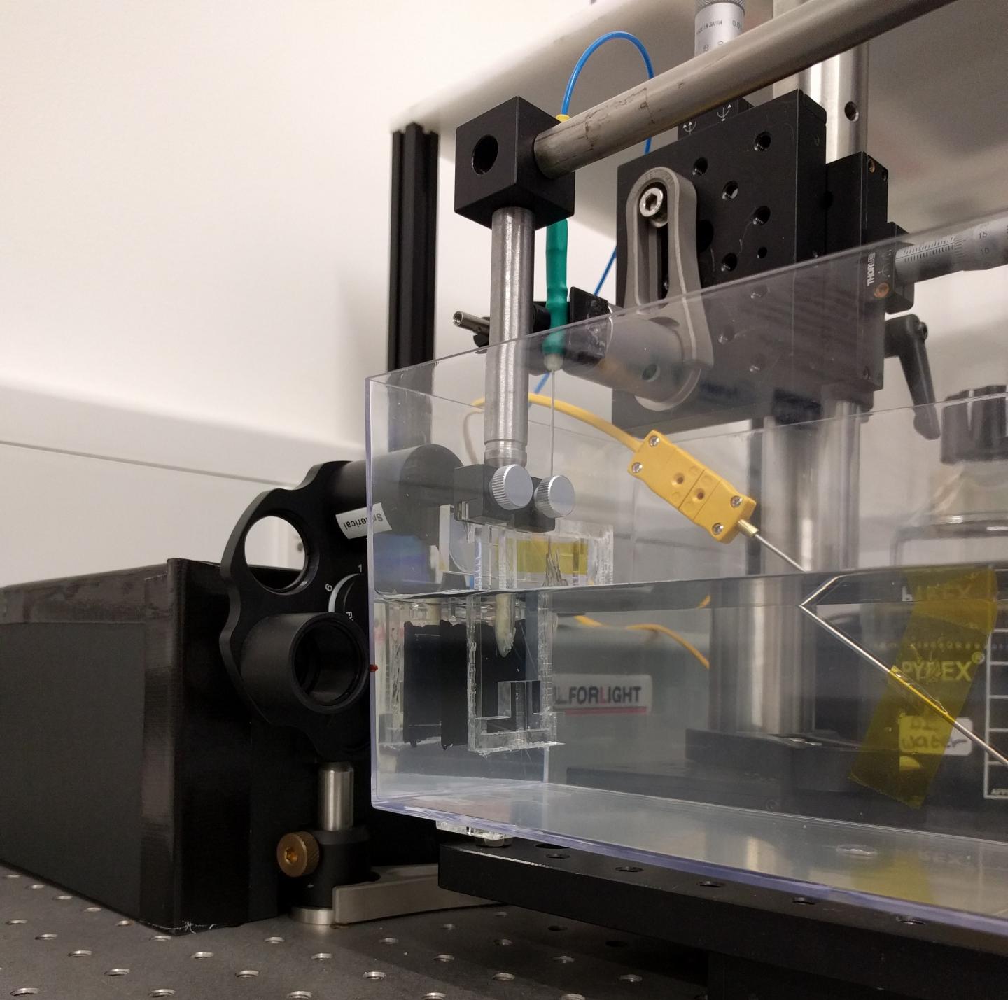 All-Optical Ultrasound Imager