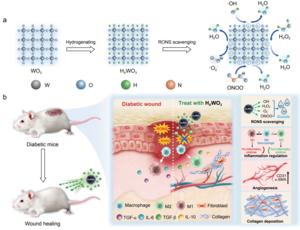 Schematic illustration of solid-state atomic hydrogen as a broad-spectrum RONS scavenger and its therapeutic mechanism in diabetic wound healing