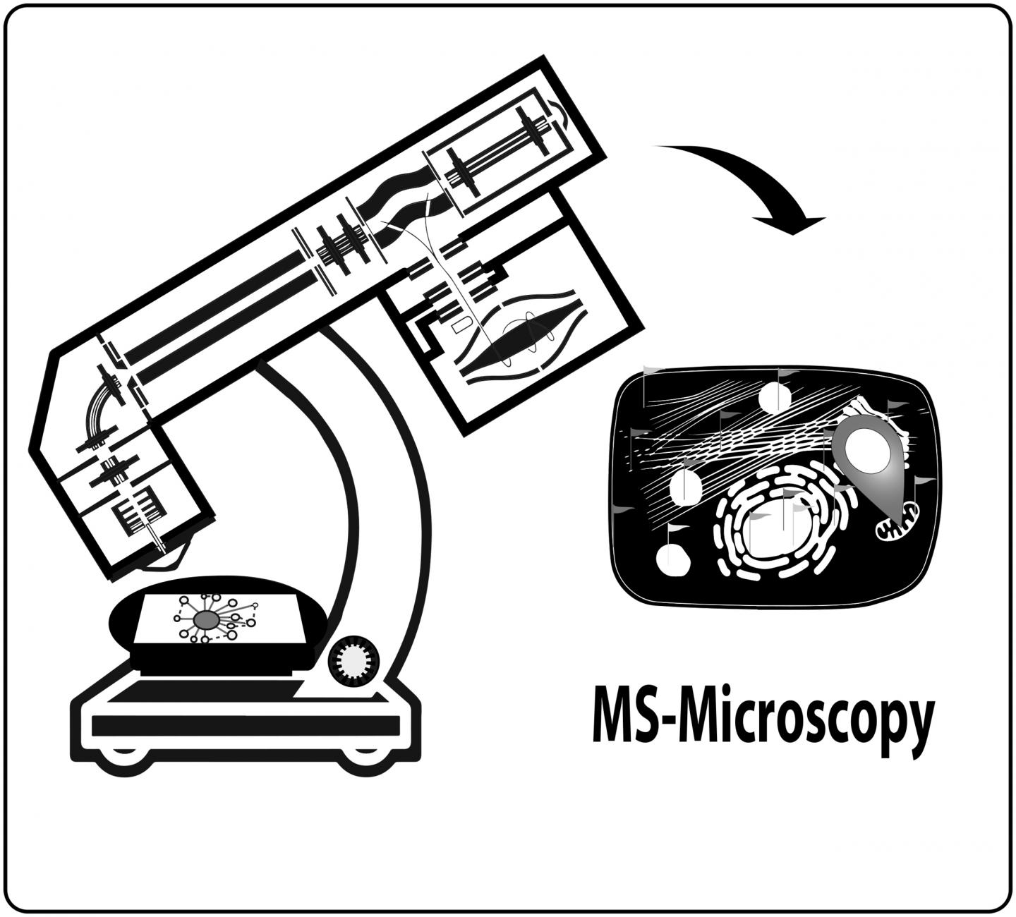 An Integrated Workflow for Interaction Proteomics