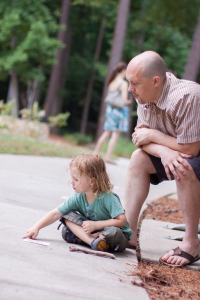 School of Ants in Action