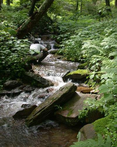 No Stone Left Unturned