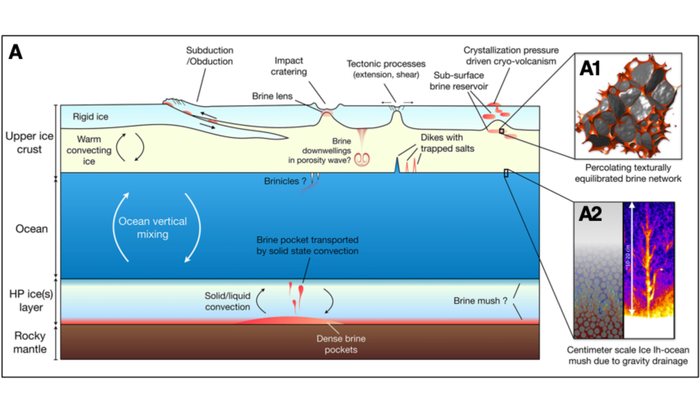 The role and distribution of impurities in ice-ocean world geophysical processes.