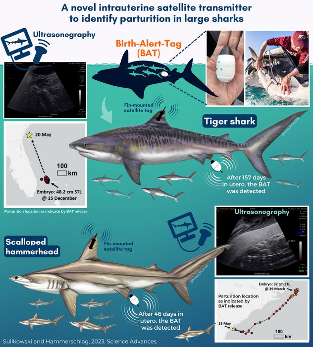 Infographic sulikowski hamme image eurekalert science news releases