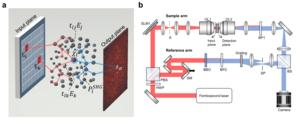 Figure 1. Nonlinear scattering wave propagation and measurement system