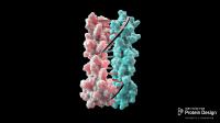 New Protein Helps in Pursuit of Protein Nanomachines 2