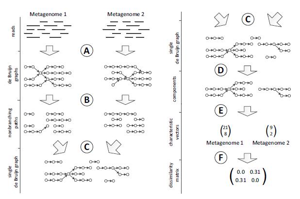 MetaFast Algorithm