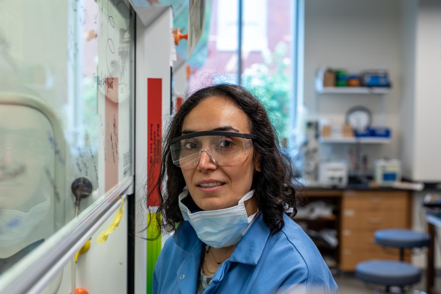 UVM Chemist Mona Sharafi