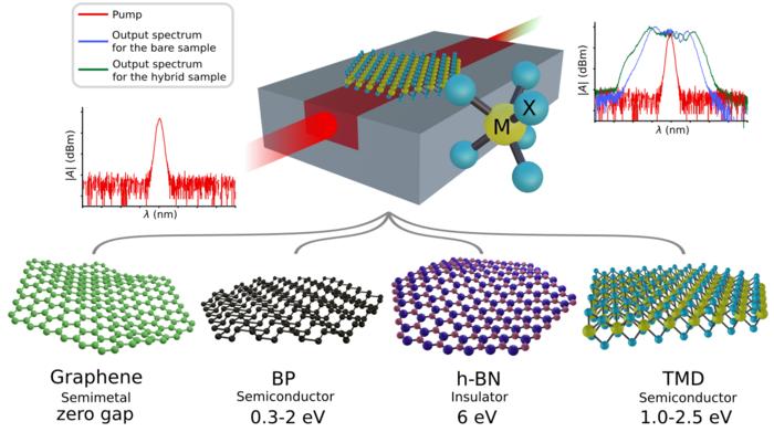 Principle of the hybrid integration of 2D materials on photonic waveguides.