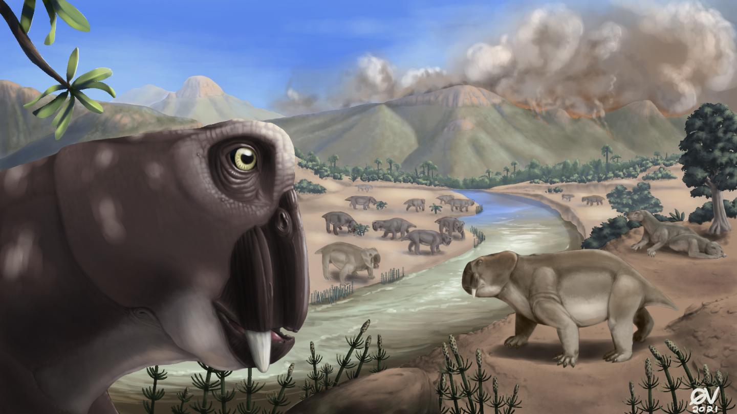 Lystrosaurus Illustration