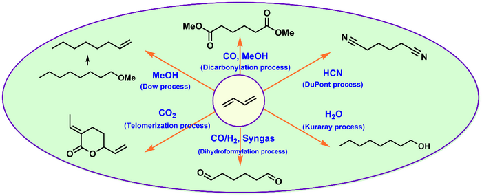 Industrially Applied and Relevant Transformations of 1,3-Butadiene