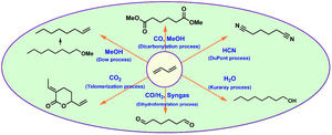 Industrially Applied and Relevant Transformations of 1,3-Butadiene