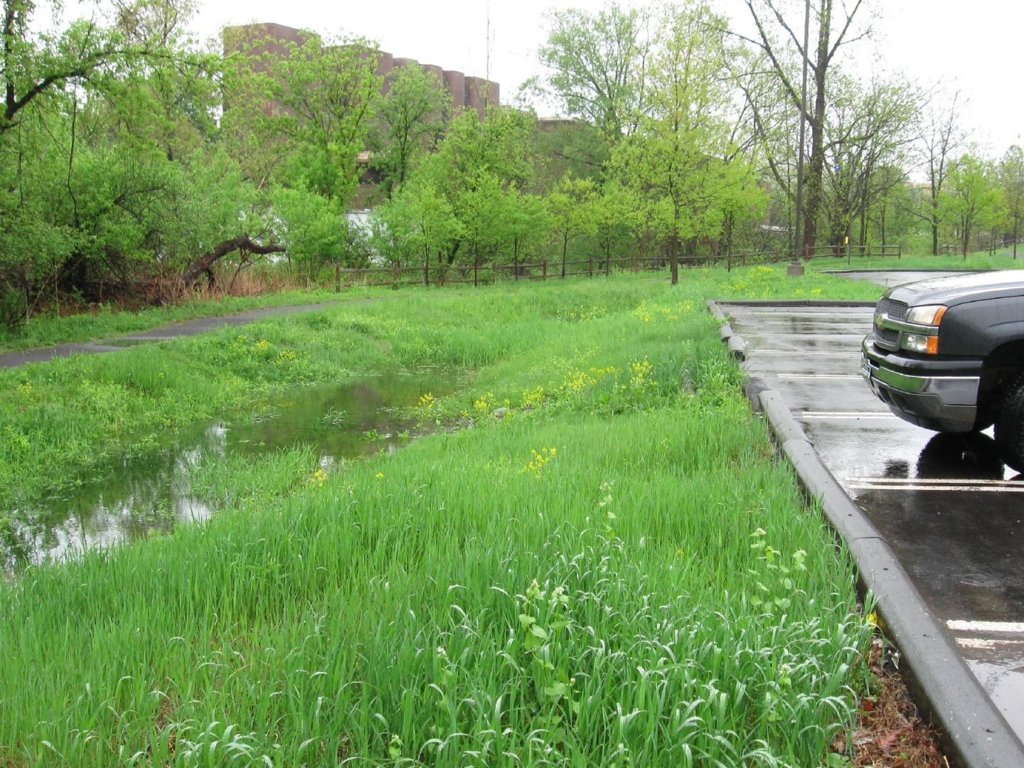 Dry Basin after Rain