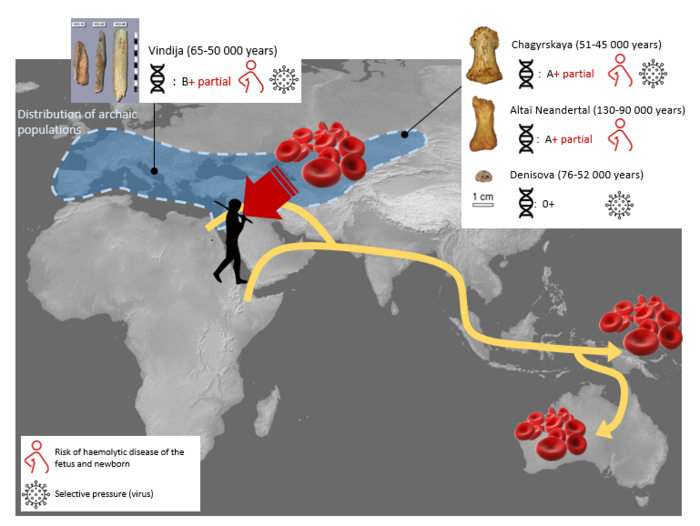 Carte montrant la répartition des individus étudiés, leur âge, leur groupe sanguin