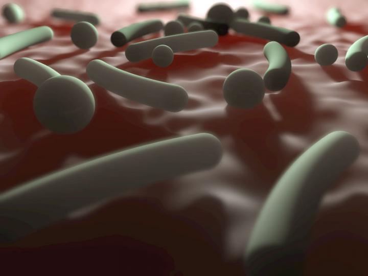 some-antibiotics-may-worsen-complications-in-eurekalert