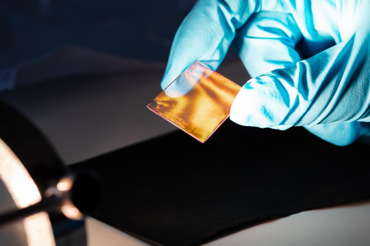 Layer of Spherical Hydrogel Cores with Gold Particles