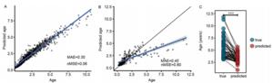 Age prediction using microbiome and random forest model