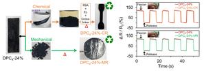 Sustainable Polymer-SWCNT-Based Flexible Electrode Material