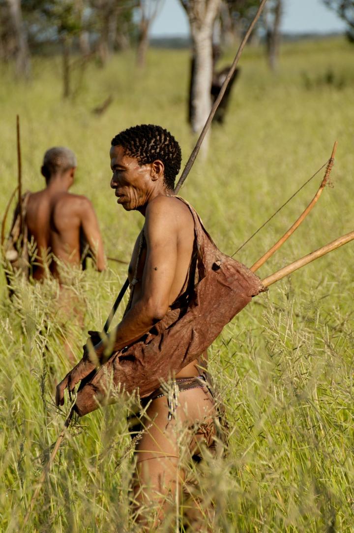 A Member of the Ju:'hoansi Tribe Foraging in North/Western Namibia