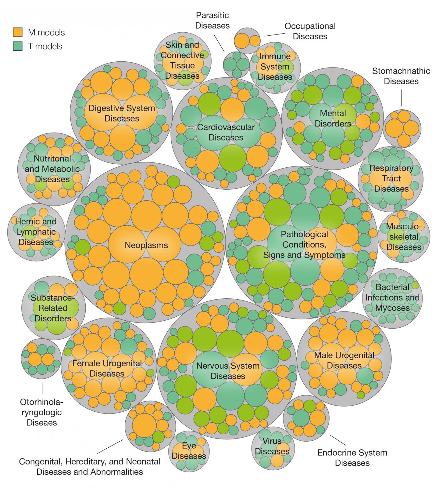 Predictive Model of Chemical Substances and Their Association with Human Diseases