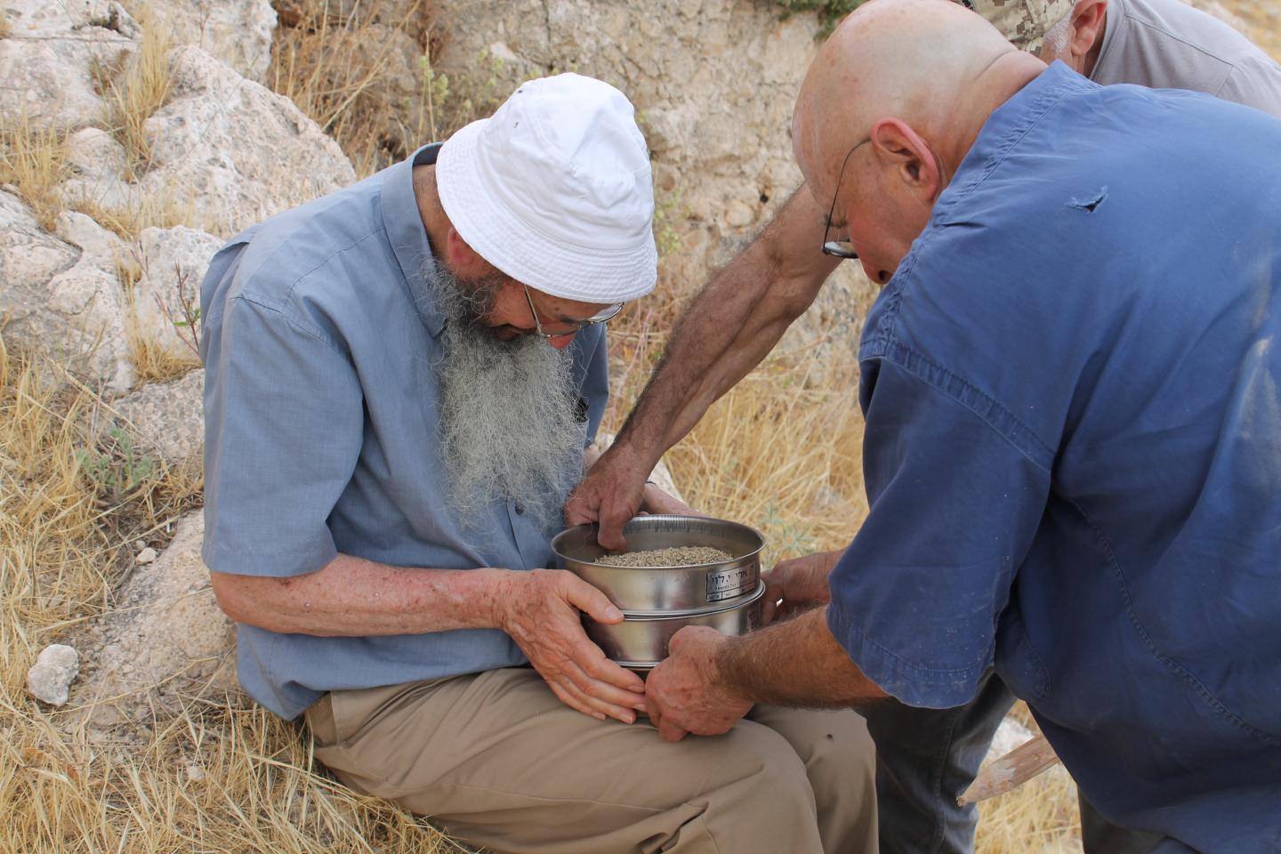 Examining the Grains