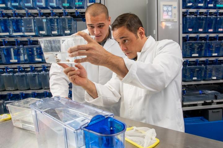 NAU Biologist Matt Salanga