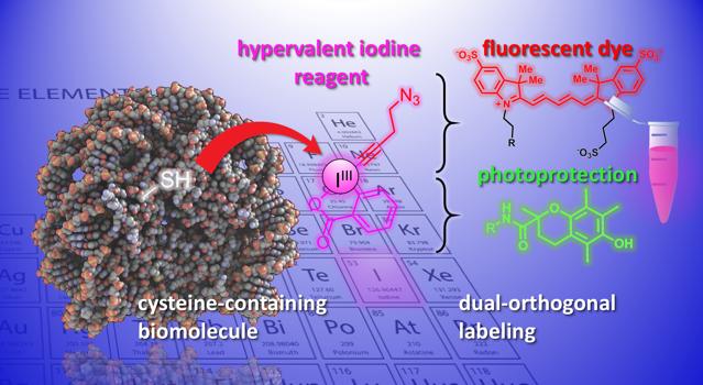 An Illustration of the Chemical Reaction Developed in the Study