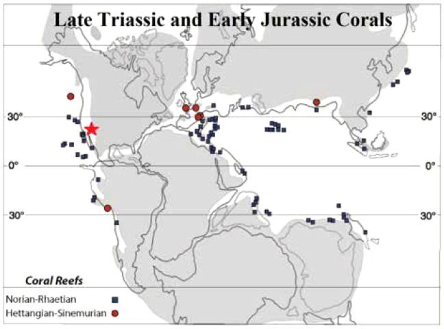 Late Jurassic and Early Jurassic Corals