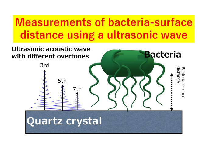 Scientific illustration