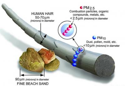 Inhalable Particles