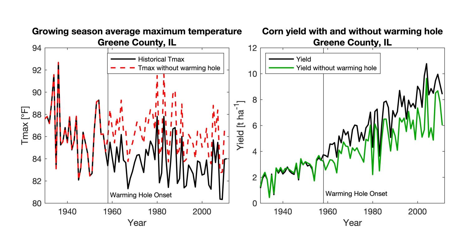 Effect of Removing the Warming Hole on Maximum Temperature