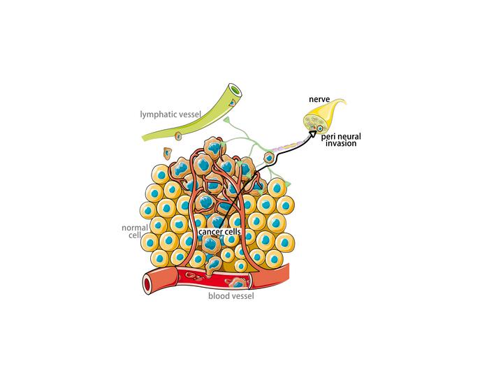 IMAGE 1 WILSON visual abstract