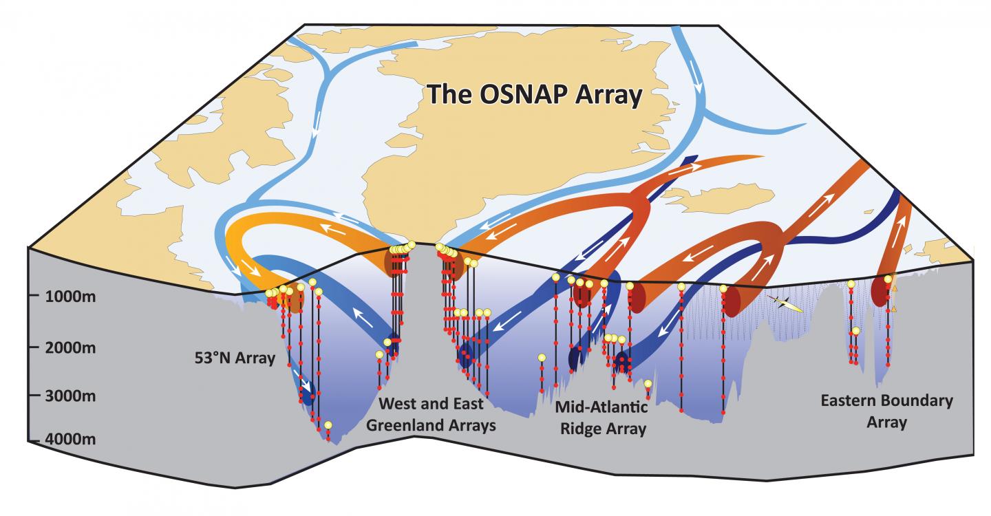 The OSNAP Array