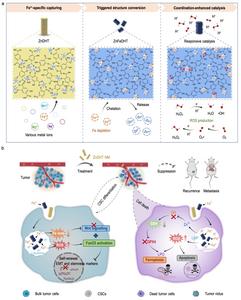 Cascade functioning of the coordination nanomedicine and its mediated anti-tumor mechanisms