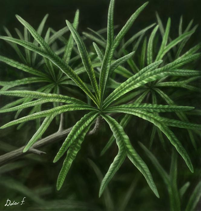 A speculative artistic reconstruction of Furcula granulifer