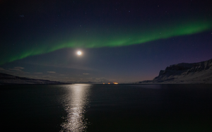 Arctic krill use twilight to guide their daily rhythms through the polar winter (2)