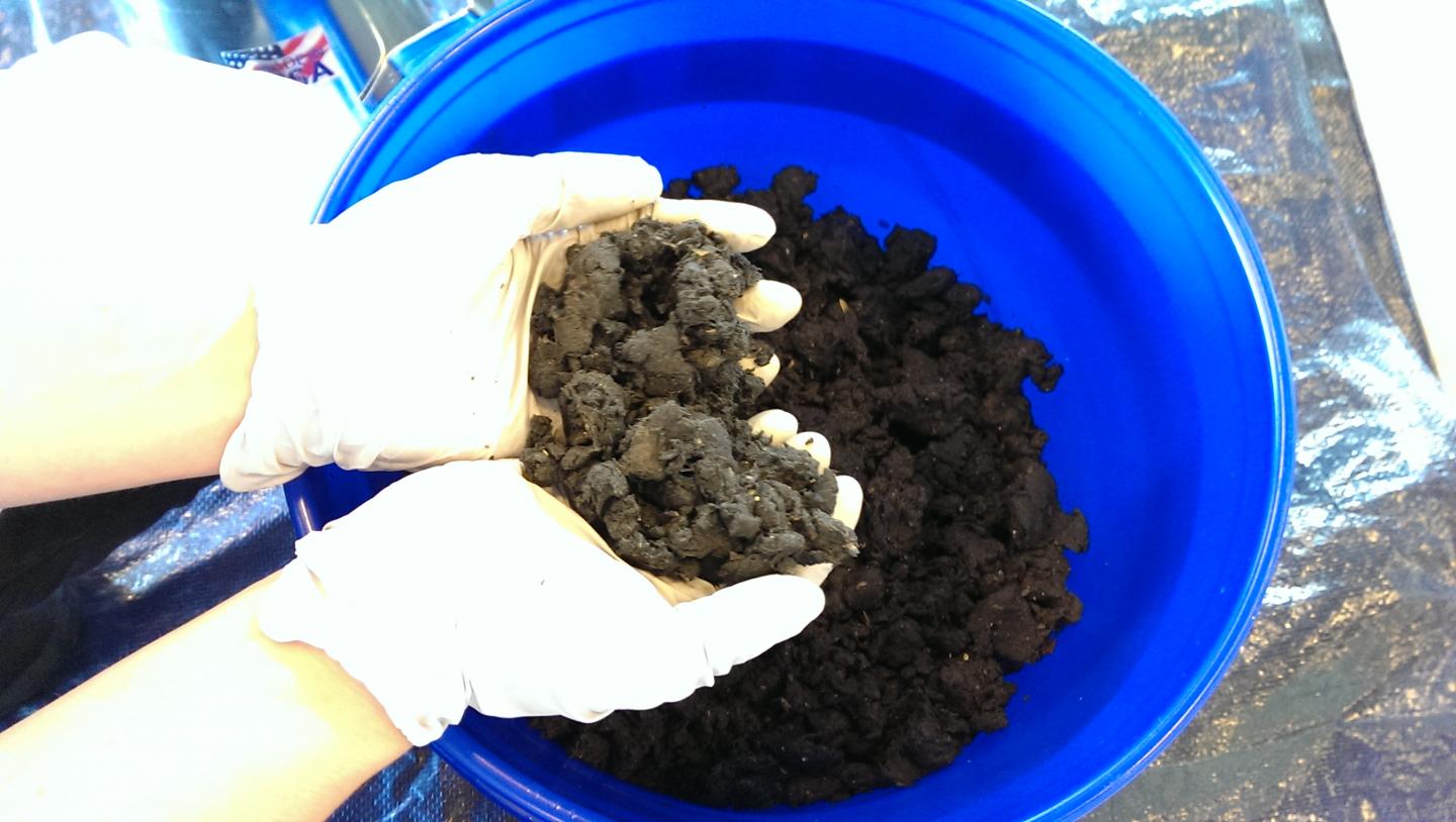 Wastewater Treatement Sludge