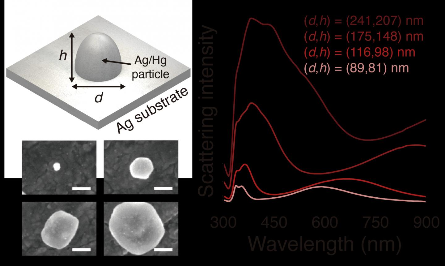 Scattering intensity for particles with different diameters, d, and heights, h.