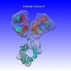 3-D Image of an Individual Protein
