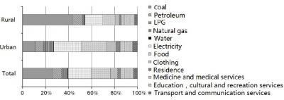 Household Carbon Emission Constitution