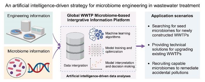 Graphical abstract