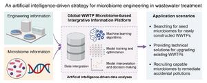 Graphical abstract