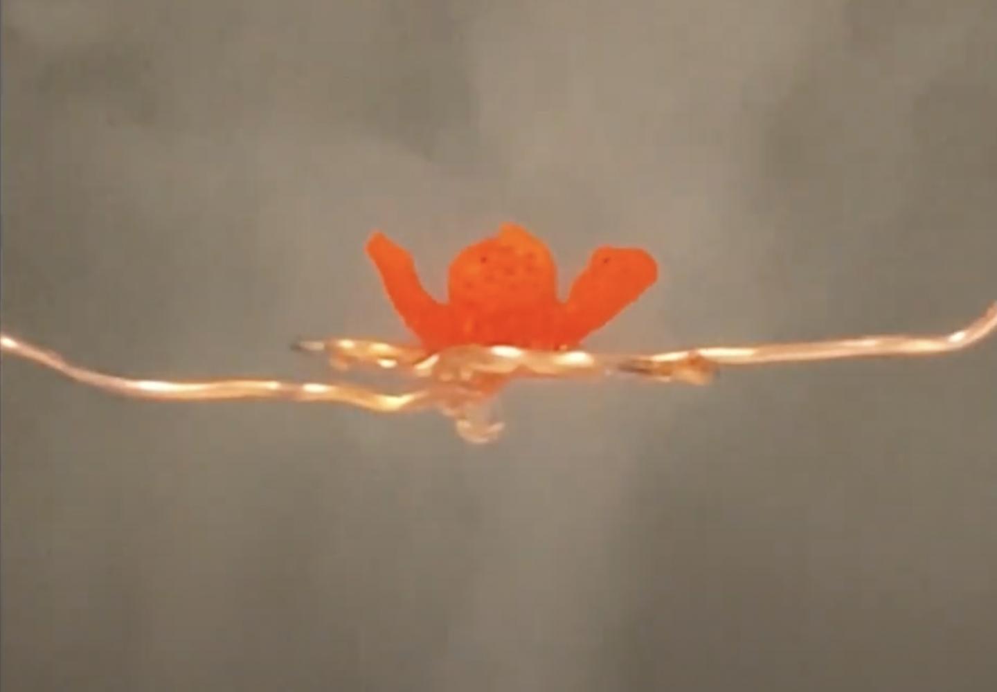 3D Printed Flower