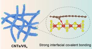 A universal cooperative assembly-oriented strategy for VS4 nanorods decoration on carbon nanostructures with enhanced magnesium storage properties