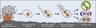 Origin of Metabolism