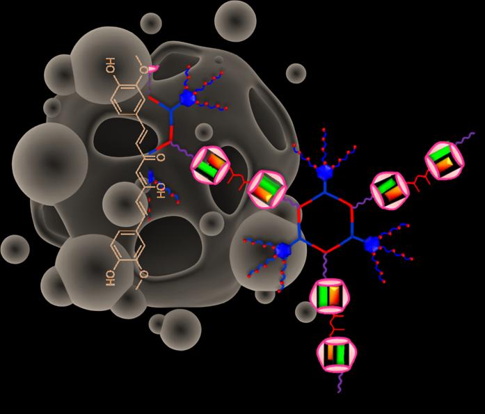 Curcumin Insolubility