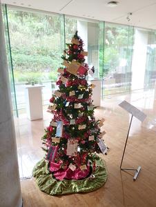 In 2024, the OIST Christmas Tree Project supported children from Sakura Classroom.