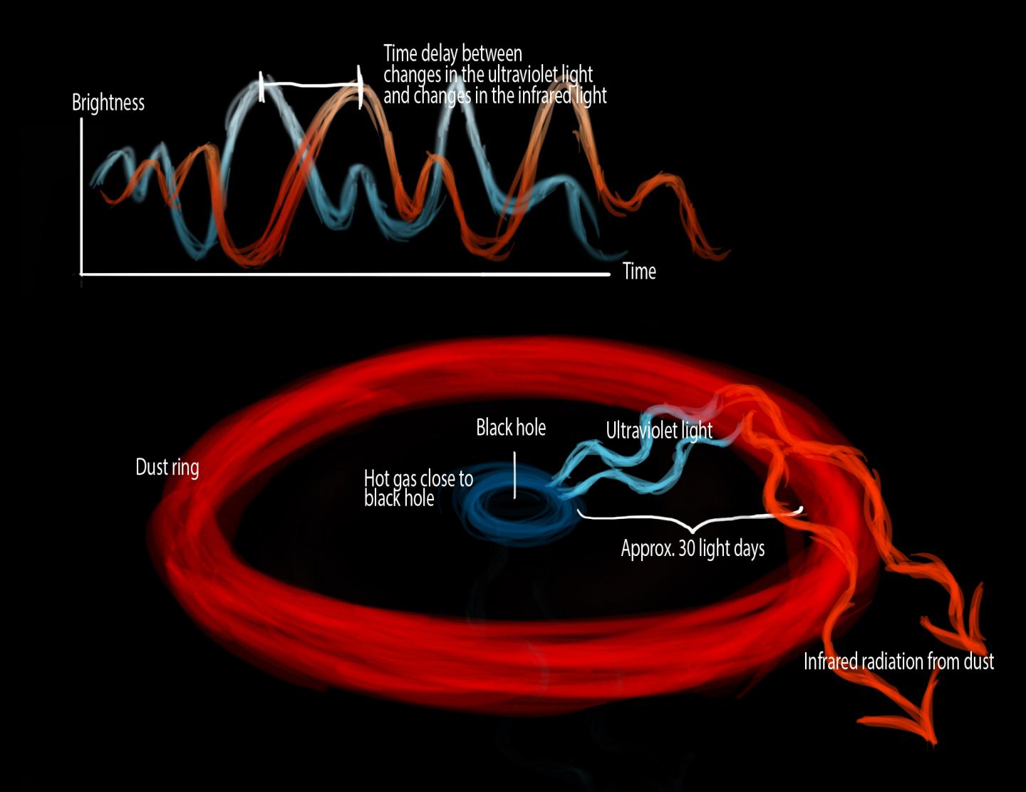 Dust Ring around an AGN