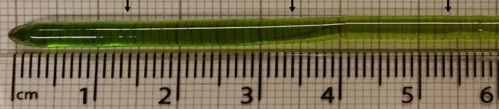 Crystal of Quantum Spin Ice