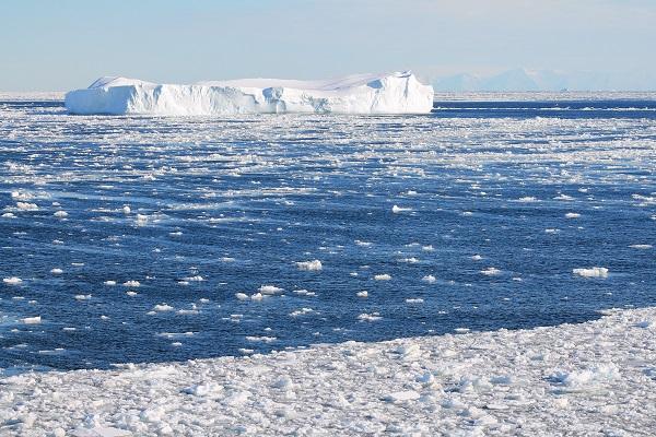 Marine ecosystems in Antarctic seafloors